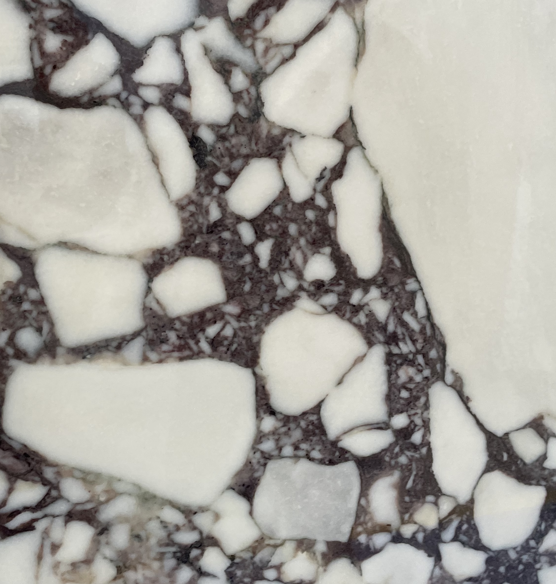 Calacatta Viola marble slab
